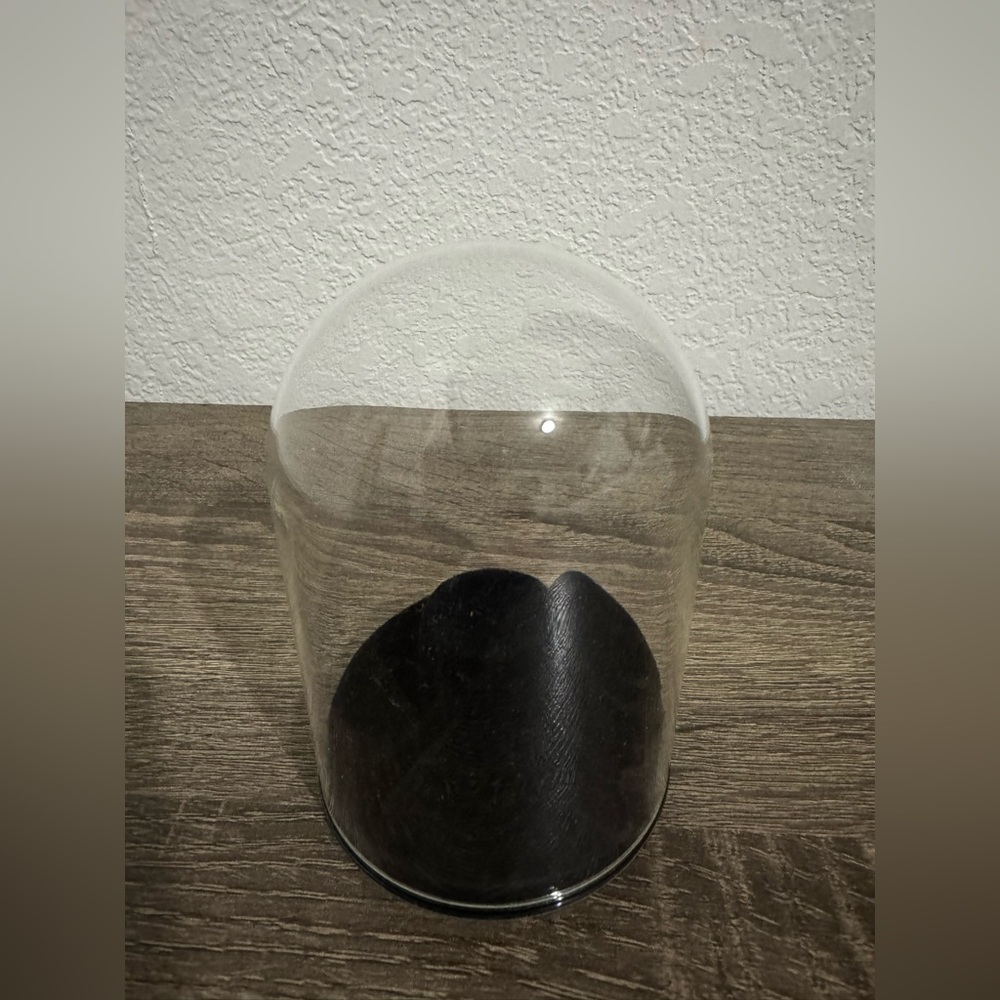 Glass Cloche with Black Base